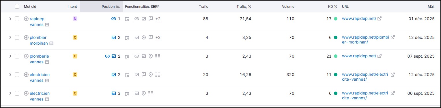 Résultats SEMRush du trafic pou Rapidep