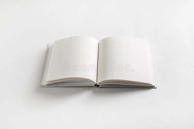 livre blanc